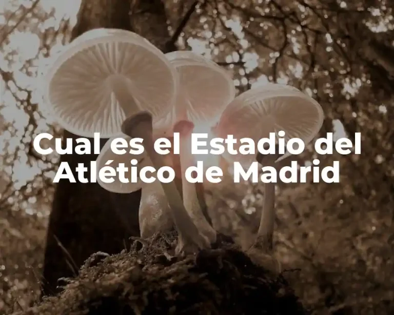 Cual es el Estadio del Atlético de Madrid