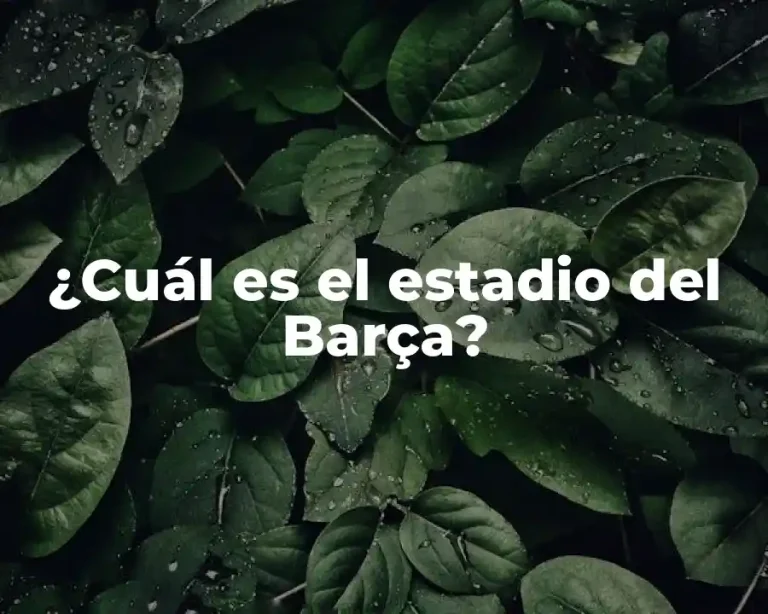 ¿Cuál es el estadio del Barça?