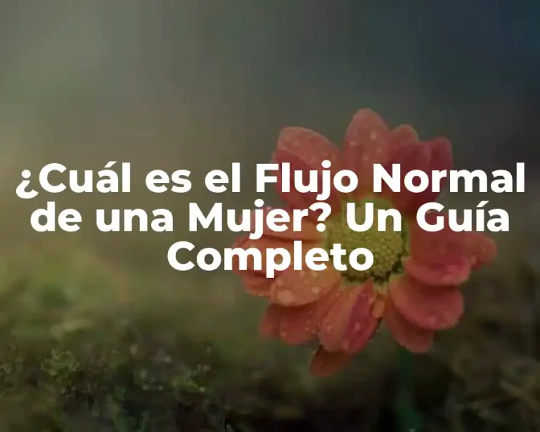 ¿Cuál es el Flujo Normal de una Mujer? Un Guía Completo