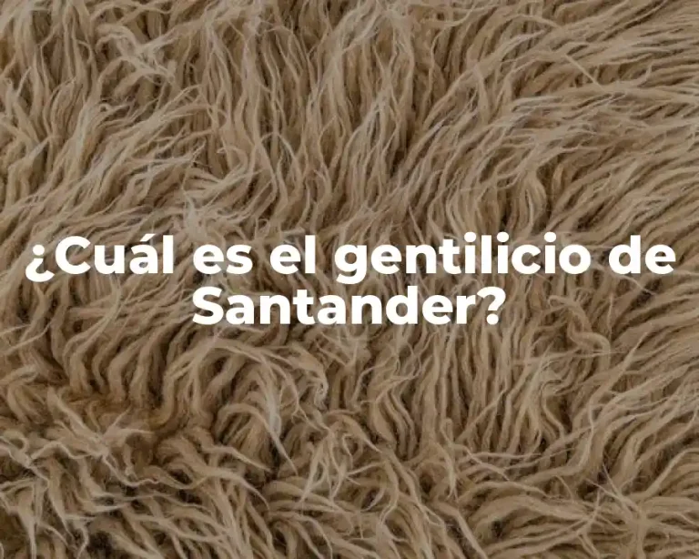 ¿Cuál es el gentilicio de Santander?