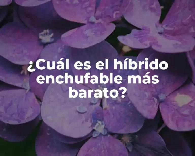 ¿Cuál es el híbrido enchufable más barato?