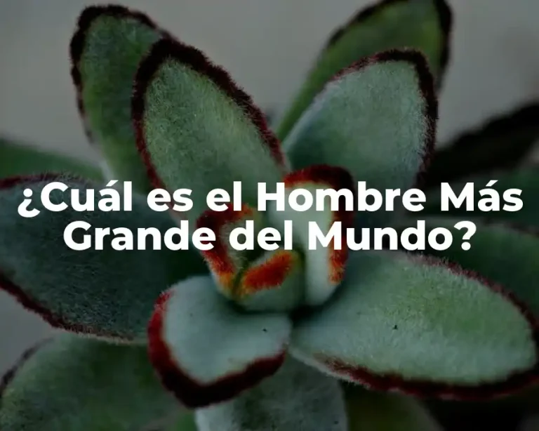¿Cuál es el Hombre Más Grande del Mundo?