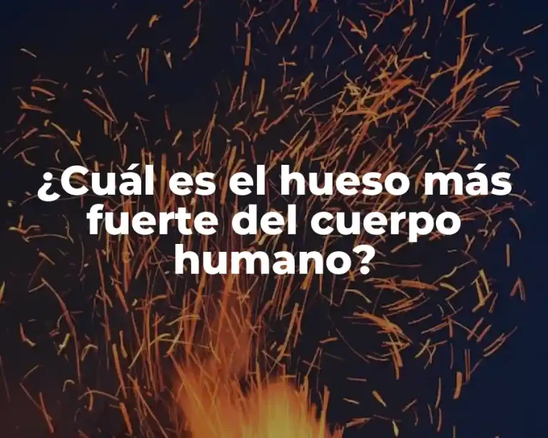 ¿Cuál es el hueso más fuerte del cuerpo humano?