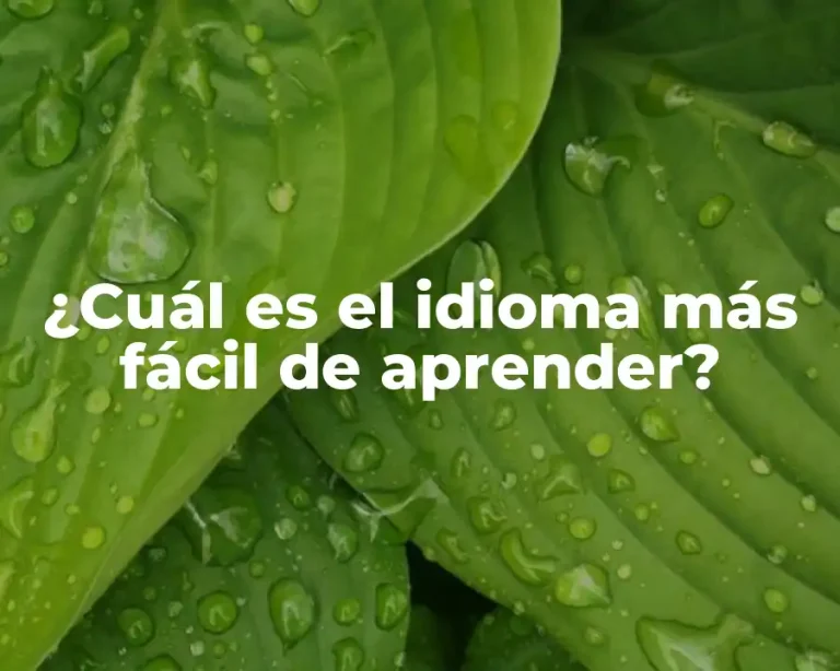 ¿Cuál es el idioma más fácil de aprender?