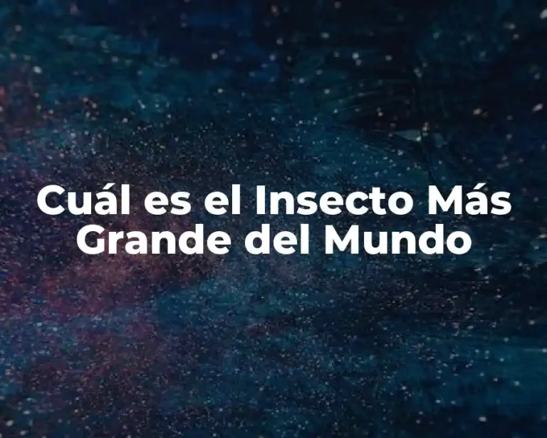 Cuál es el Insecto Más Grande del Mundo