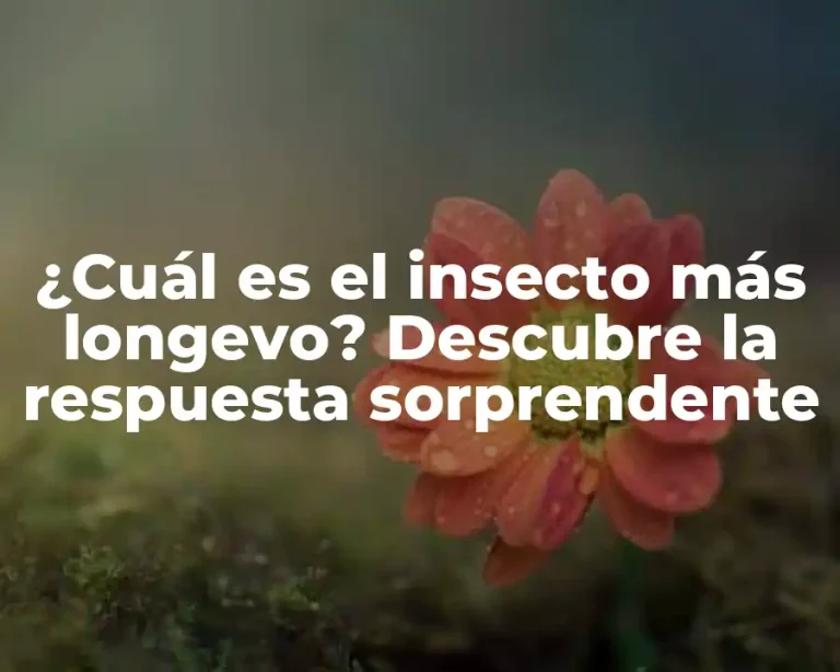 ¿Cuál es el insecto más longevo? Descubre la respuesta sorprendente