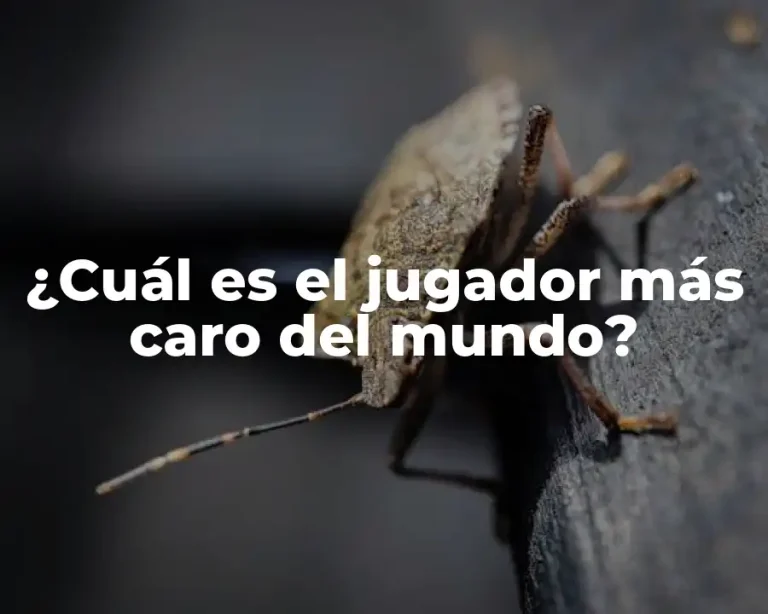 ¿Cuál es el jugador más caro del mundo?