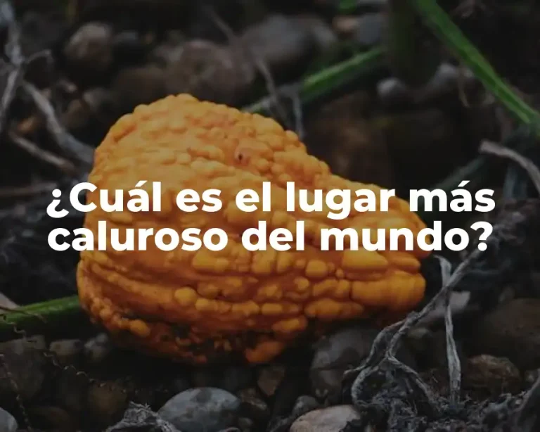 ¿Cuál es el lugar más caluroso del mundo?