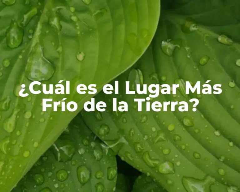 ¿Cuál es el Lugar Más Frío de la Tierra?