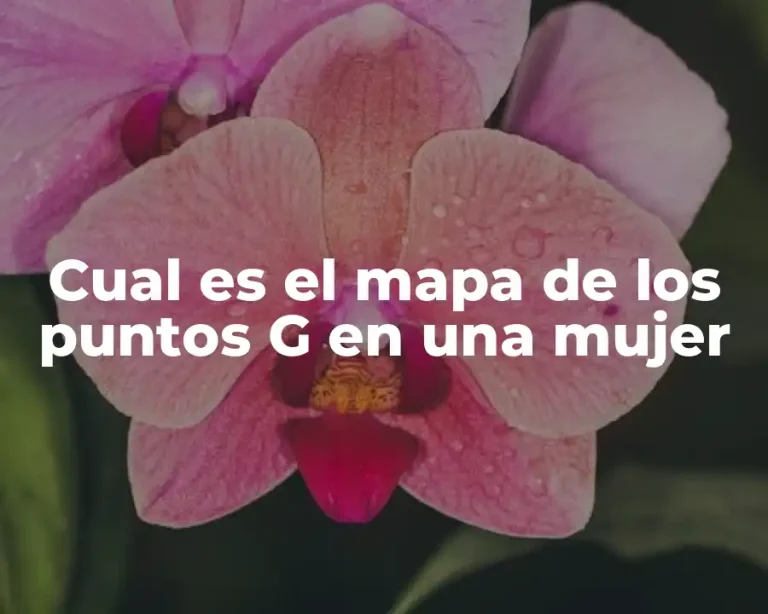 Cual es el mapa de los puntos G en una mujer