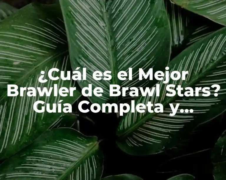 ¿Cuál es el Mejor Brawler de Brawl Stars? Guía Completa y Actualizada