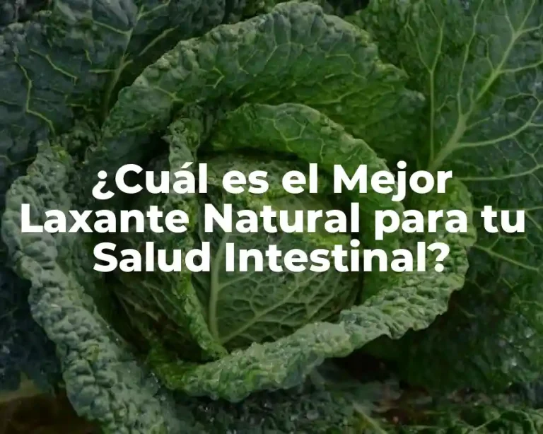 ¿Cuál es el Mejor Laxante Natural para tu Salud Intestinal?