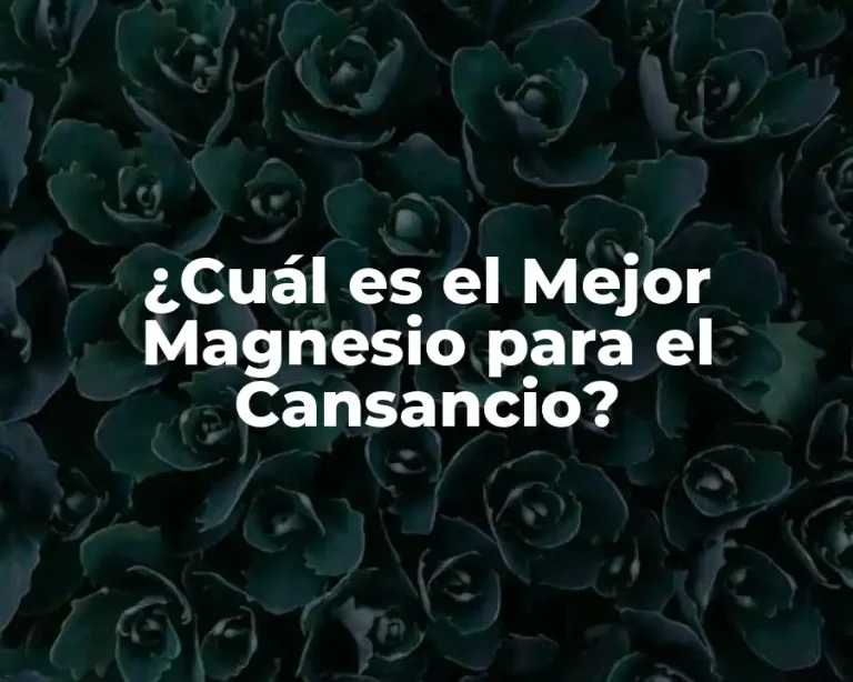 ¿Cuál es el Mejor Magnesio para el Cansancio?