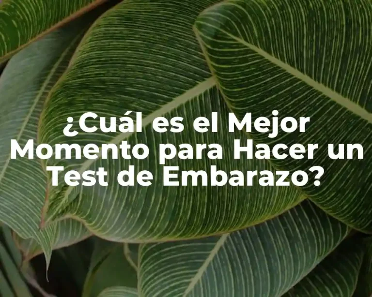 ¿Cuál es el Mejor Momento para Hacer un Test de Embarazo?