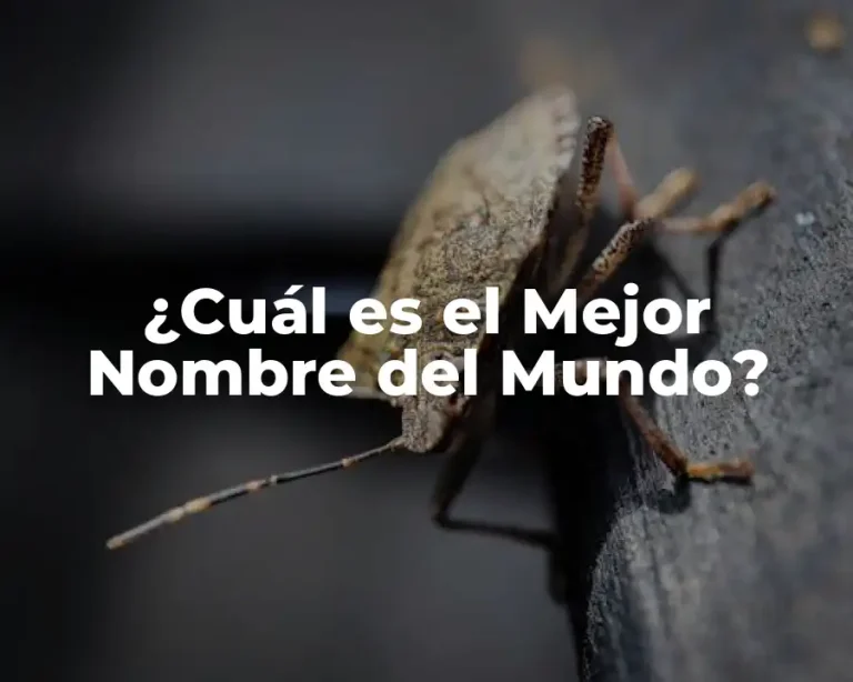 ¿Cuál es el Mejor Nombre del Mundo?