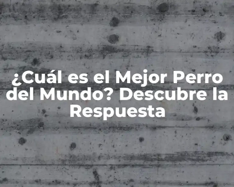 ¿Cuál es el Mejor Perro del Mundo? Descubre la Respuesta