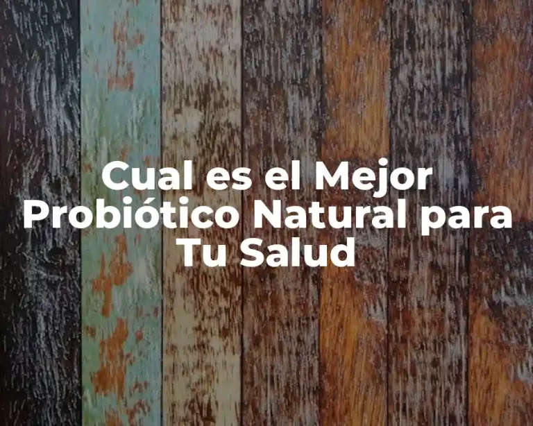 Cual es el Mejor Probiótico Natural para Tu Salud