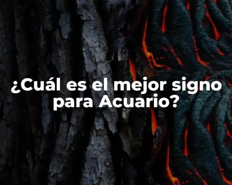 ¿Cuál es el mejor signo para Acuario?