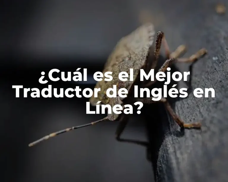 ¿Cuál es el Mejor Traductor de Inglés en Línea?