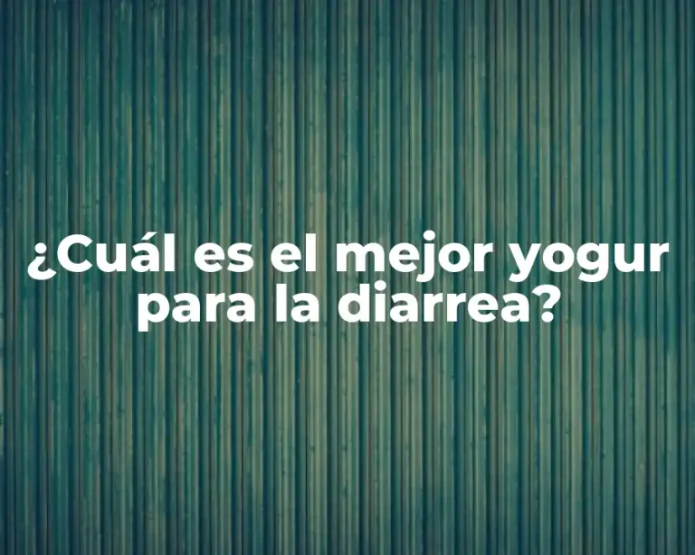 ¿Cuál es el mejor yogur para la diarrea?