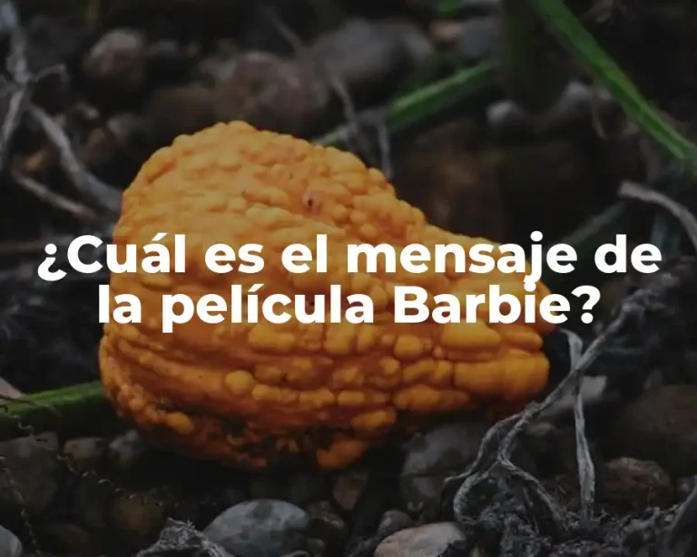 ¿Cuál es el mensaje de la película Barbie?