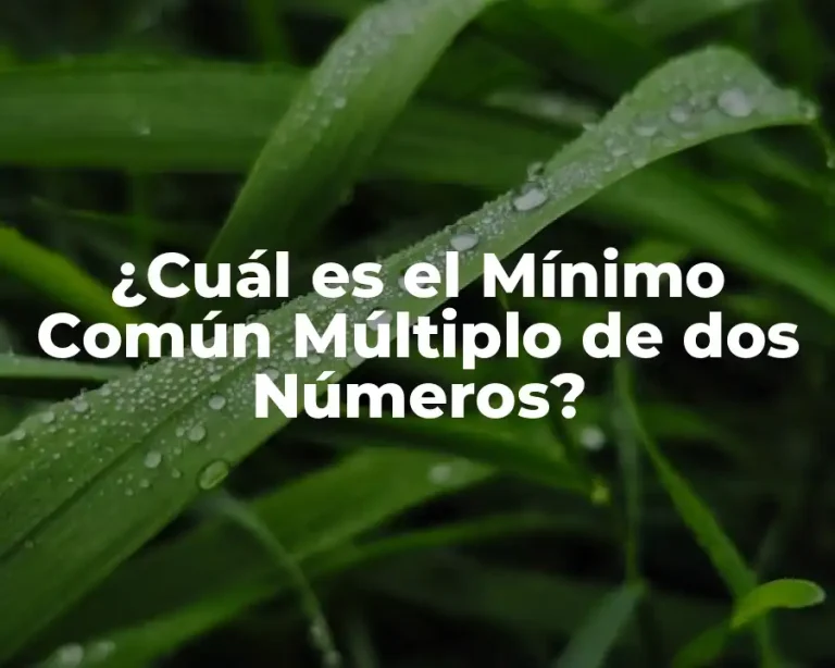 ¿Cuál es el Mínimo Común Múltiplo de dos Números?