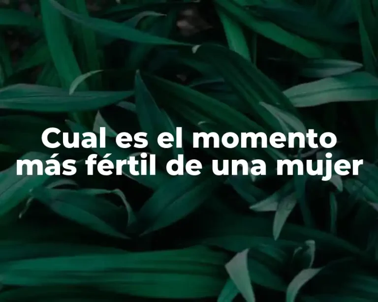 Cual es el momento más fértil de una mujer