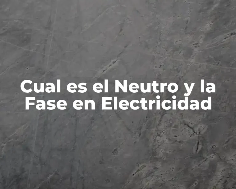 Cual es el Neutro y la Fase en Electricidad