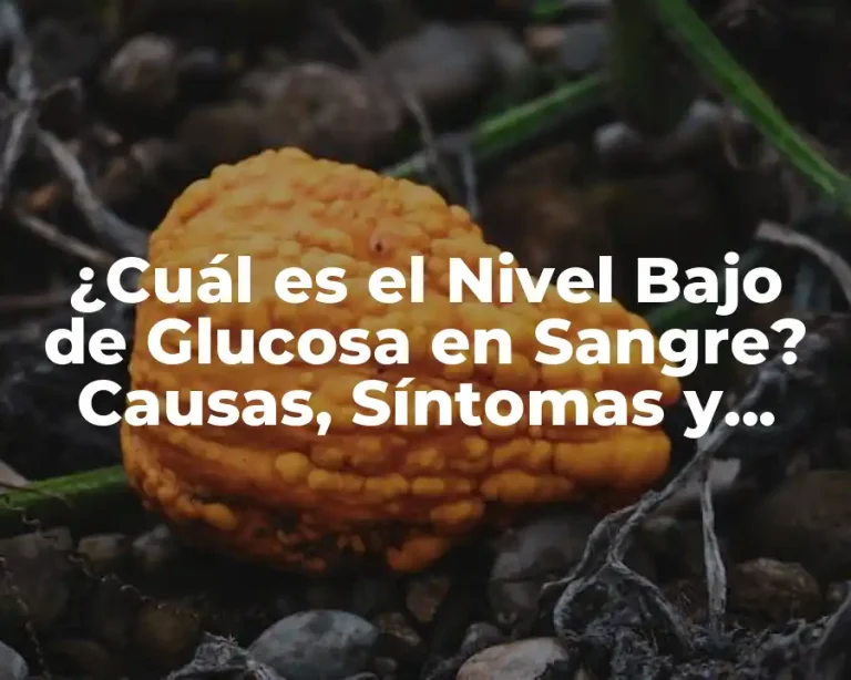 ¿Cuál es el Nivel Bajo de Glucosa en Sangre? Causas, Síntomas y Tratamiento