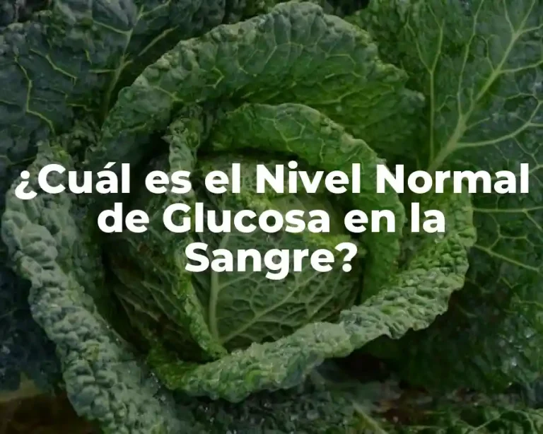 ¿Cuál es el Nivel Normal de Glucosa en la Sangre?