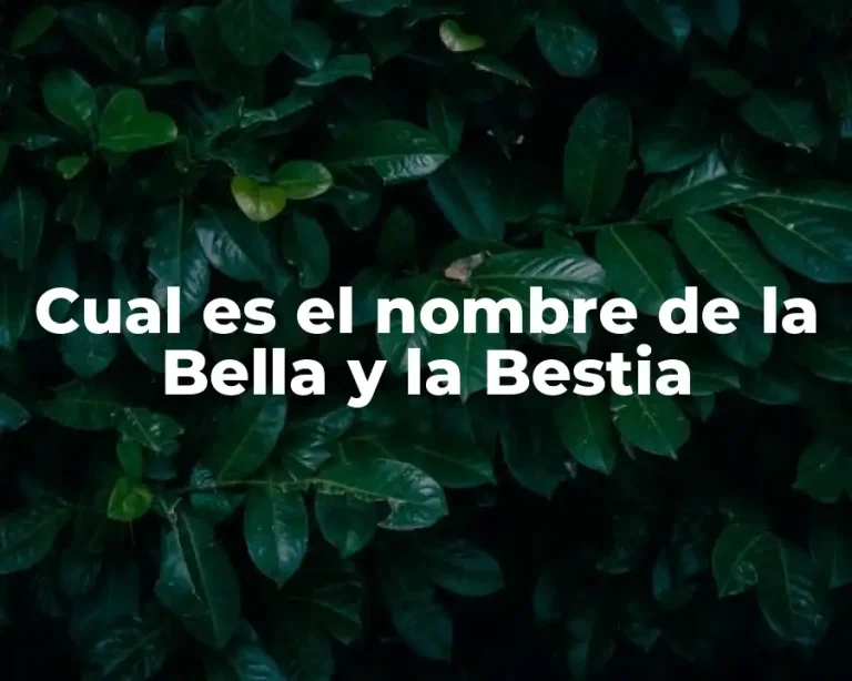 Cual es el nombre de la Bella y la Bestia