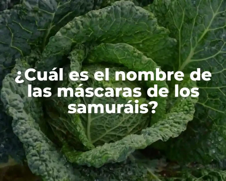 ¿Cuál es el nombre de las máscaras de los samuráis?