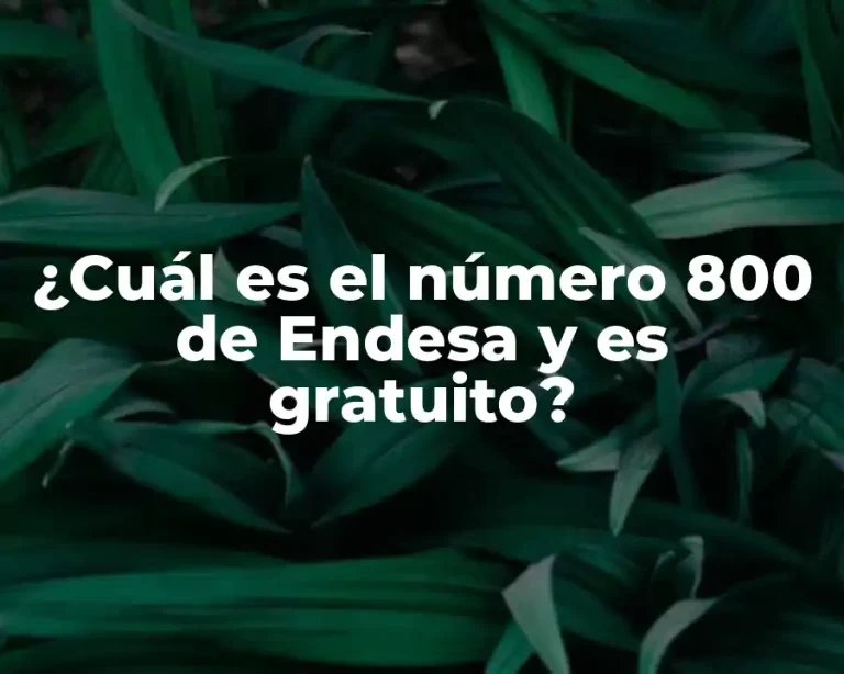¿Cuál es el número 800 de Endesa y es gratuito?