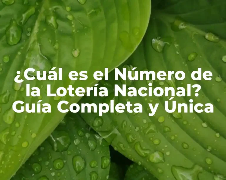 ¿Cuál es el Número de la Lotería Nacional? Guía Completa y Única
