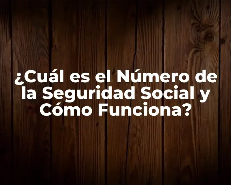 ¿Cuál es el Número de la Seguridad Social y Cómo Funciona?