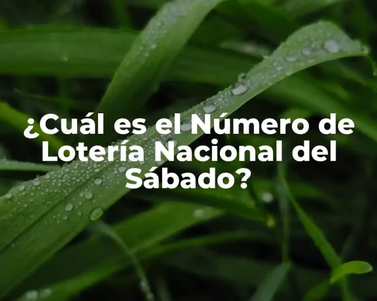¿Cuál es el Número de Lotería Nacional del Sábado?