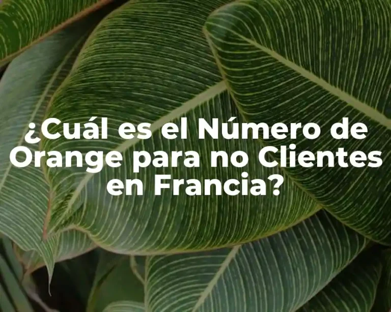¿Cuál es el Número de Orange para no Clientes en Francia?