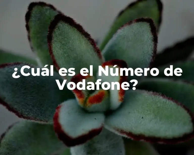¿Cuál es el Número de Vodafone?