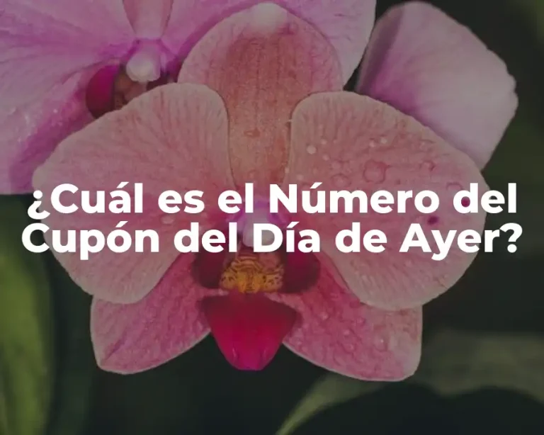 ¿Cuál es el Número del Cupón del Día de Ayer?