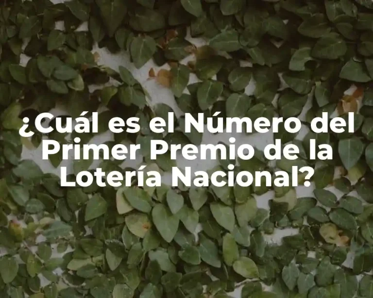 ¿Cuál es el Número del Primer Premio de la Lotería Nacional?
