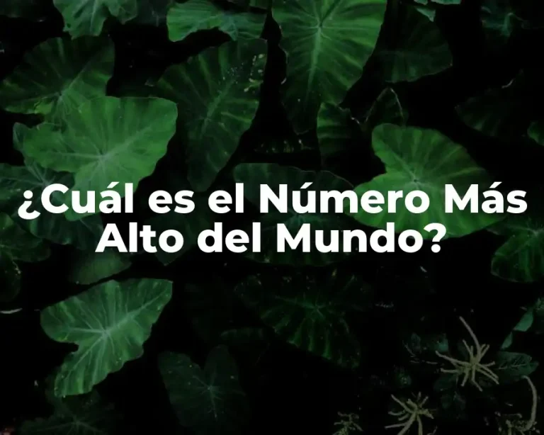 ¿Cuál es el Número Más Alto del Mundo?