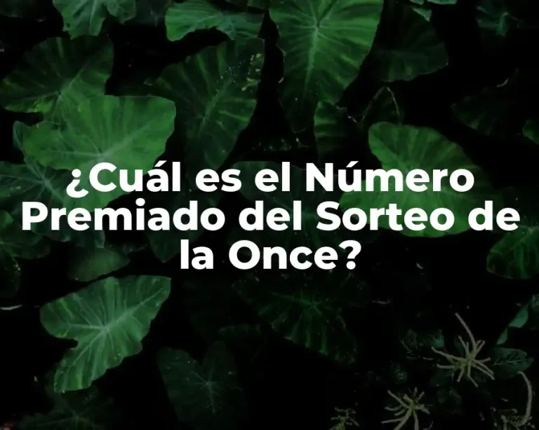 ¿Cuál es el Número Premiado del Sorteo de la Once?