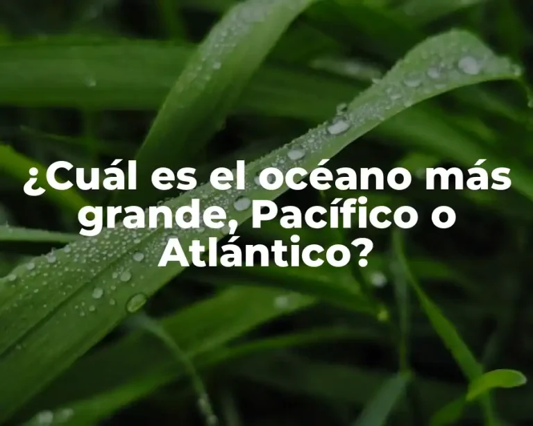 ¿Cuál es el océano más grande, Pacífico o Atlántico?
