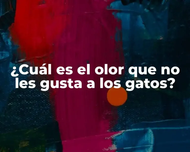 ¿Cuál es el olor que no les gusta a los gatos?