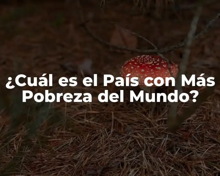 ¿Cuál es el País con Más Pobreza del Mundo?