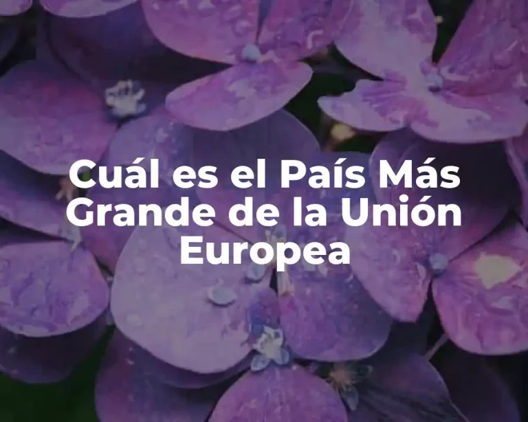 Cuál es el País Más Grande de la Unión Europea