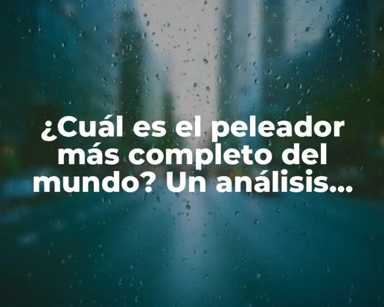 ¿Cuál es el peleador más completo del mundo? Un análisis detallado