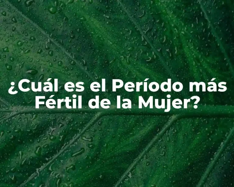 ¿Cuál es el Período más Fértil de la Mujer?