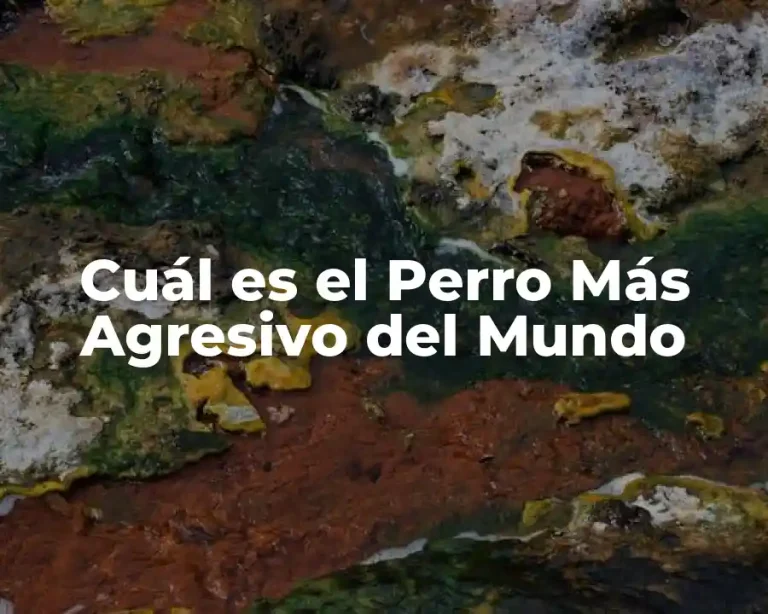 Cuál es el Perro Más Agresivo del Mundo