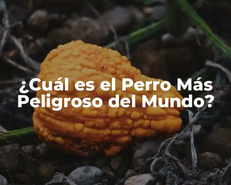 ¿Cuál es el Perro Más Peligroso del Mundo?